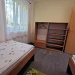 Vincent Dolní Moravice