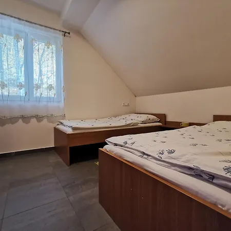 Vincent 3* Dolní Moravice