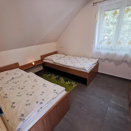 Vincent 3* Dolní Moravice