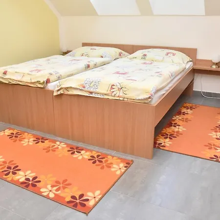 Vincent 3* Dolní Moravice