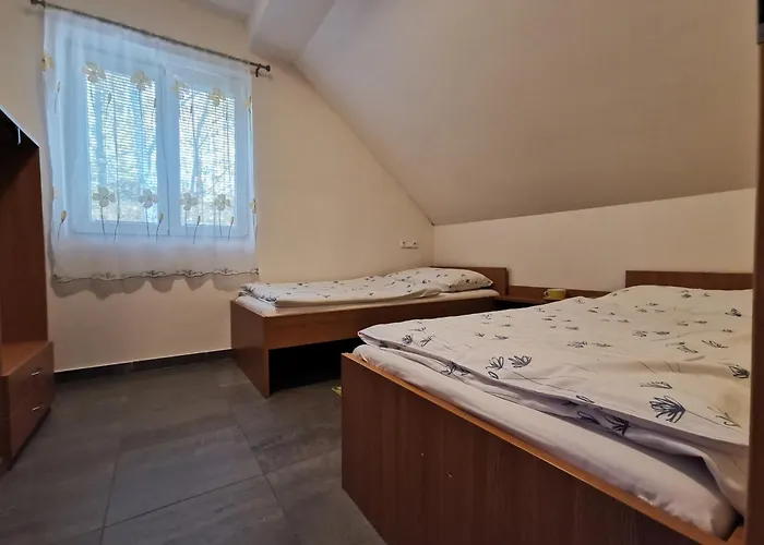 Vincent 3* Dolní Moravice