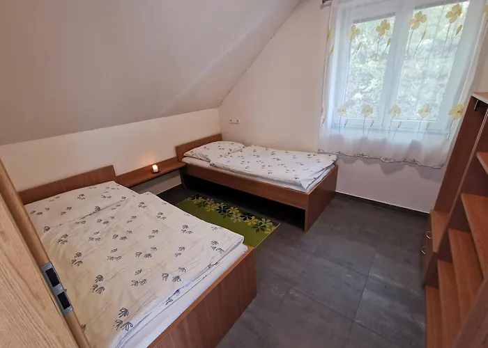 Vincent 3* Dolní Moravice