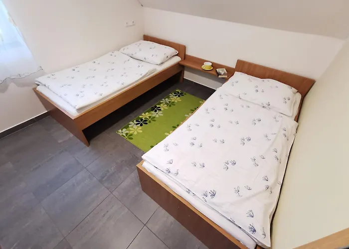Vincent 3* Dolní Moravice