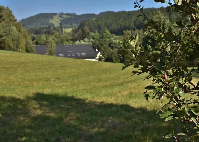 Vincent 3* Dolní Moravice