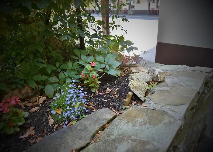 Vincent Dolní Moravice