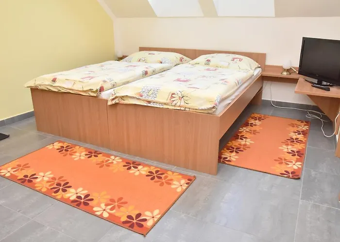 Vincent 3* Dolní Moravice